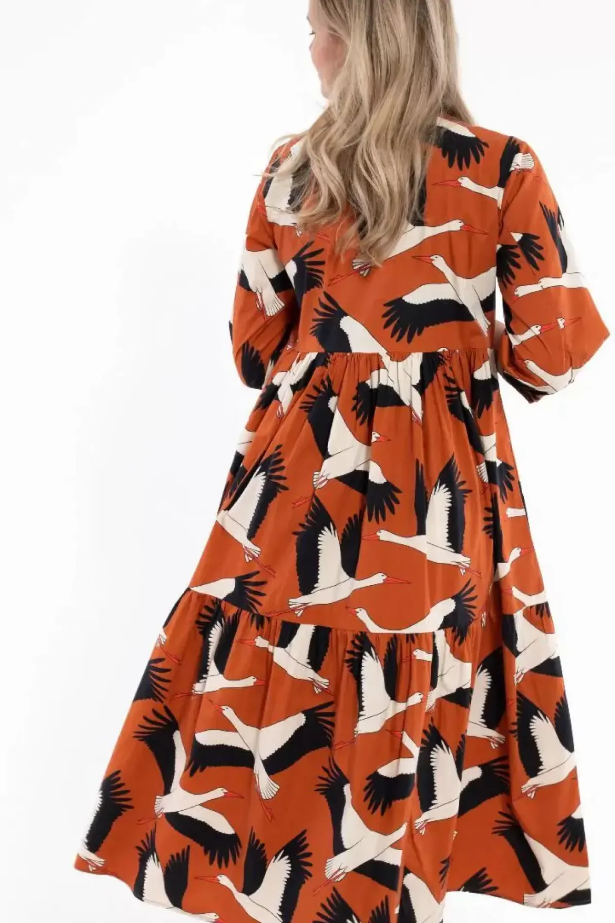 Danefæ Kleider>Danegoodie Dress Rust Big Stork